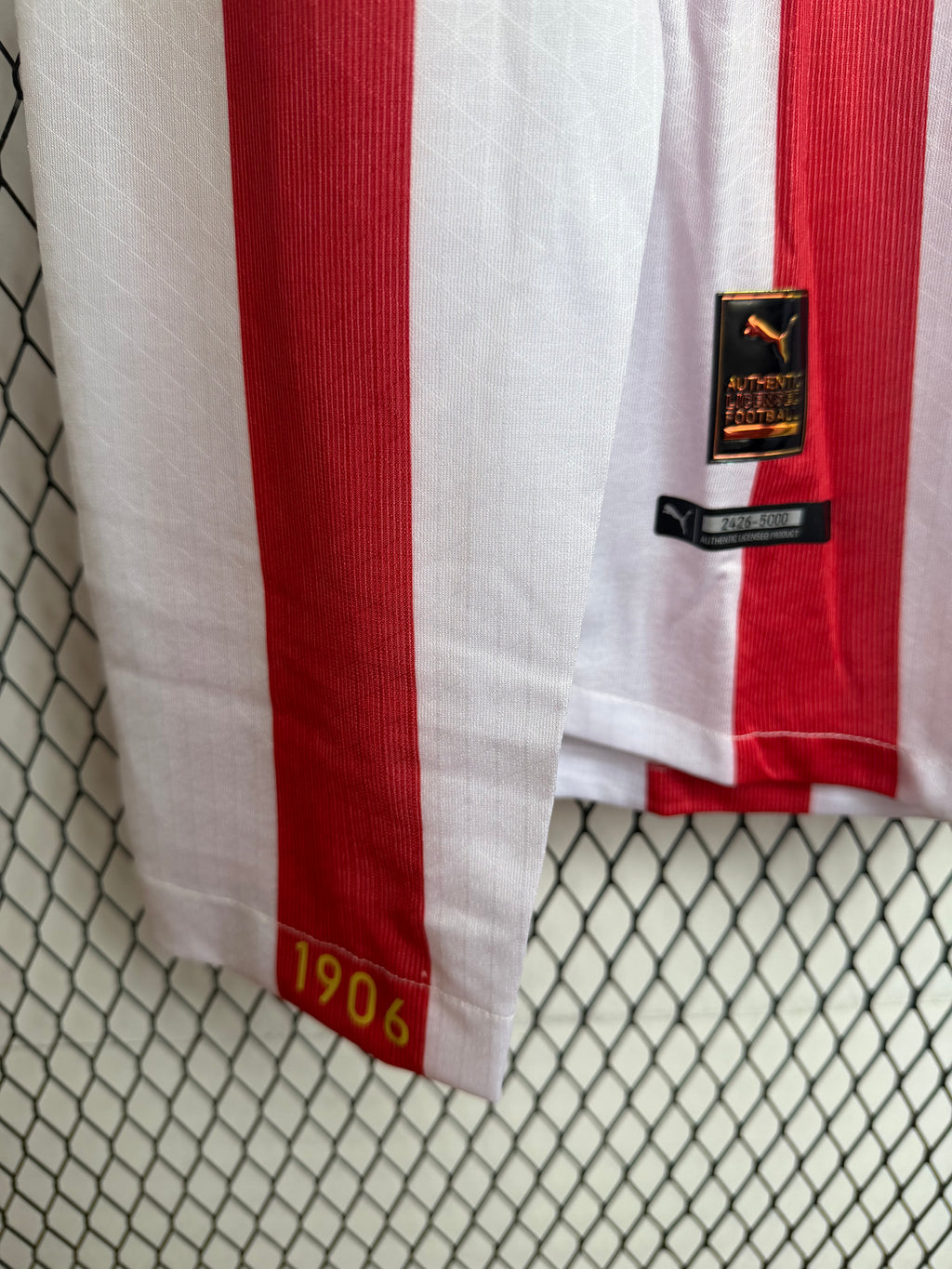 Chivas 120 años