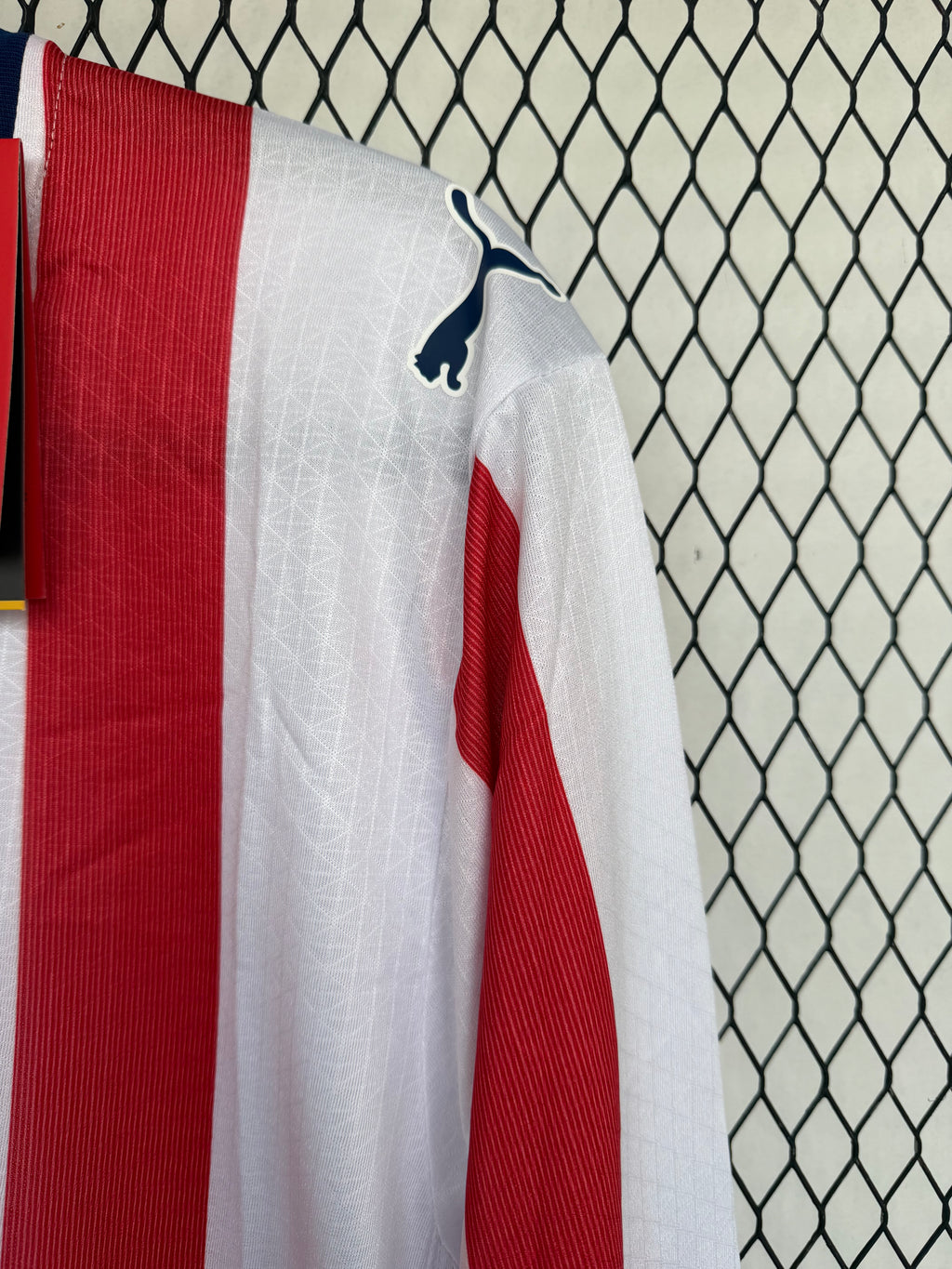 Chivas 120 años
